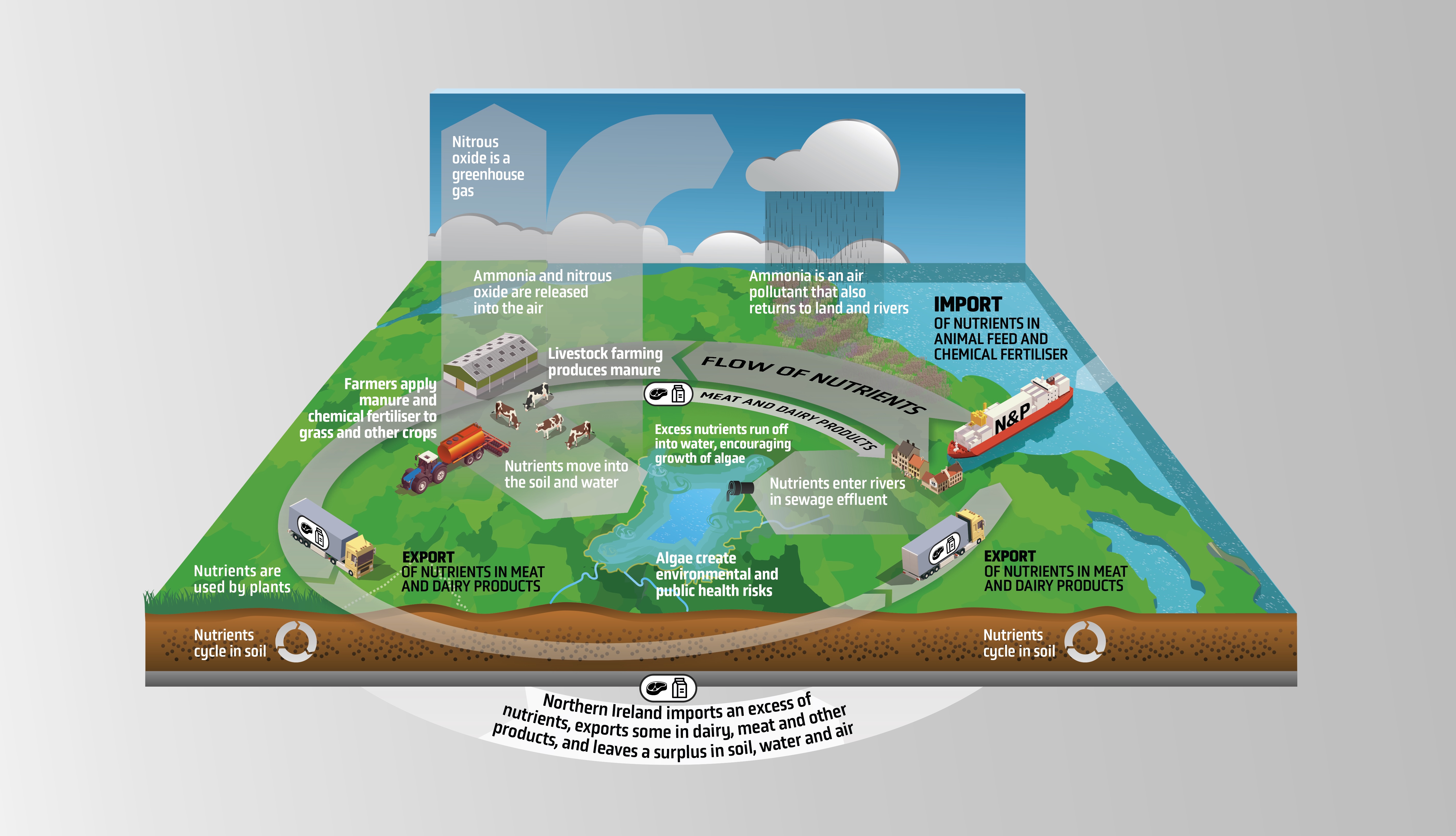 Report infographics by Bounce